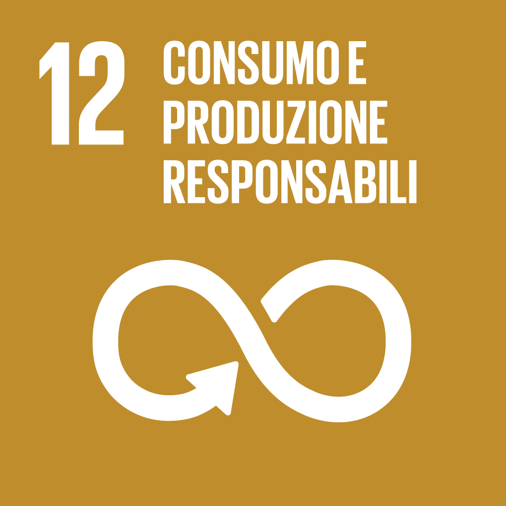 SDG 12