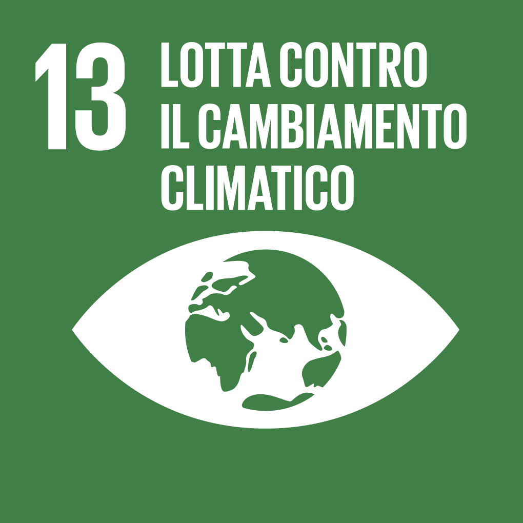 SDG 13